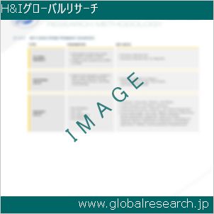 グローバルリサーチ調査レポートのイメージ